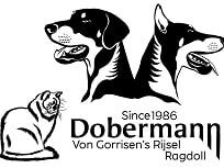 logo dobermann von gorrissen rijsel ragdoll